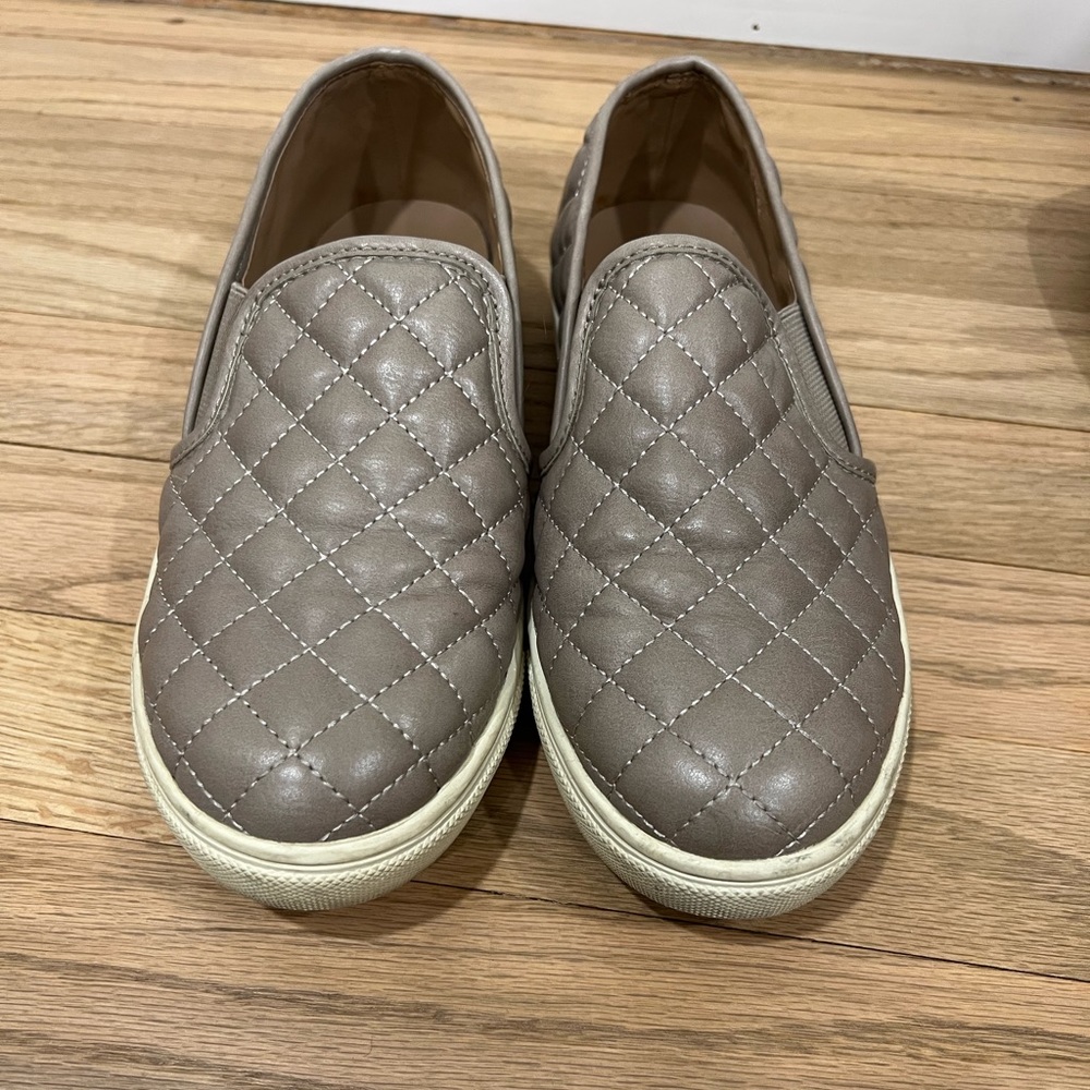 Steve Madden Women's Ecntrcqt Sneaker